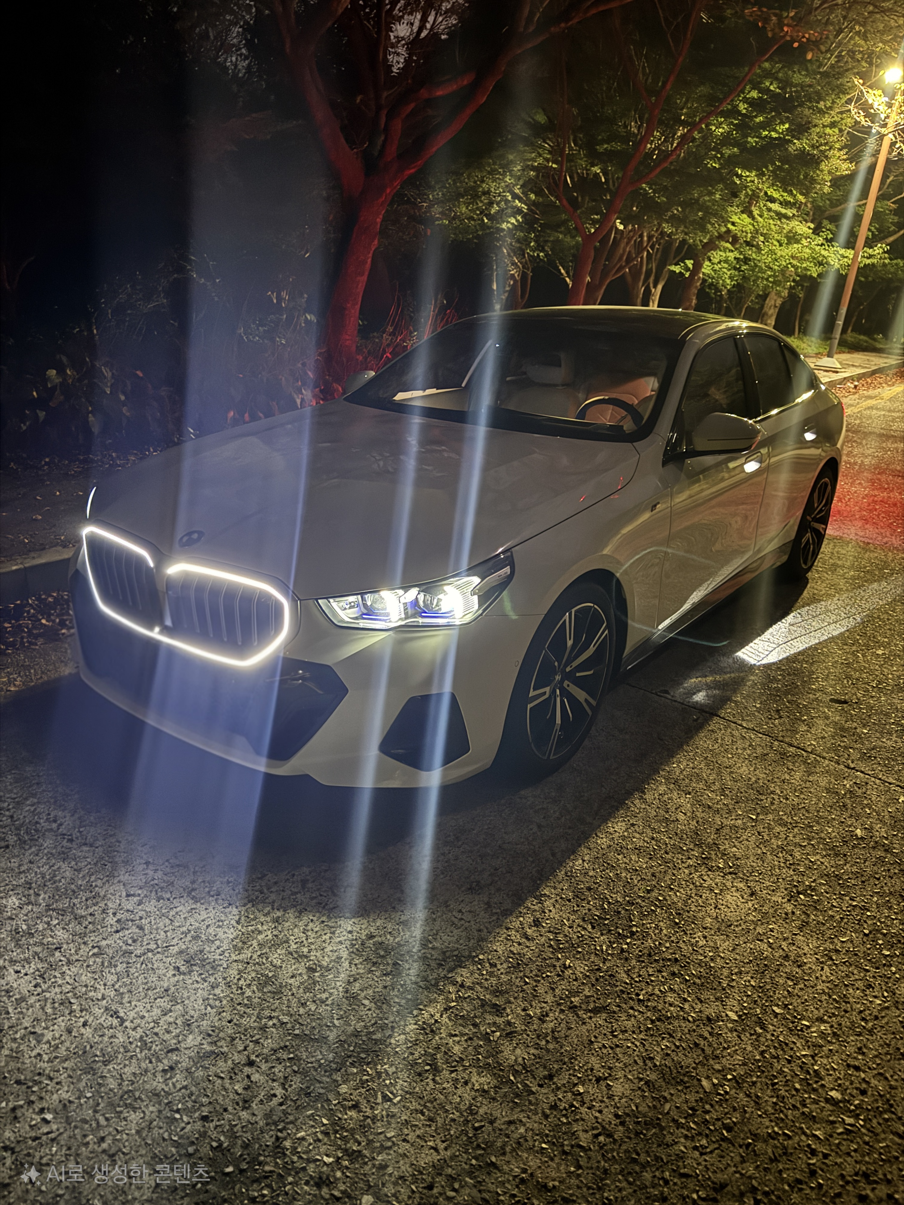 BMW 5 Series 출고후기