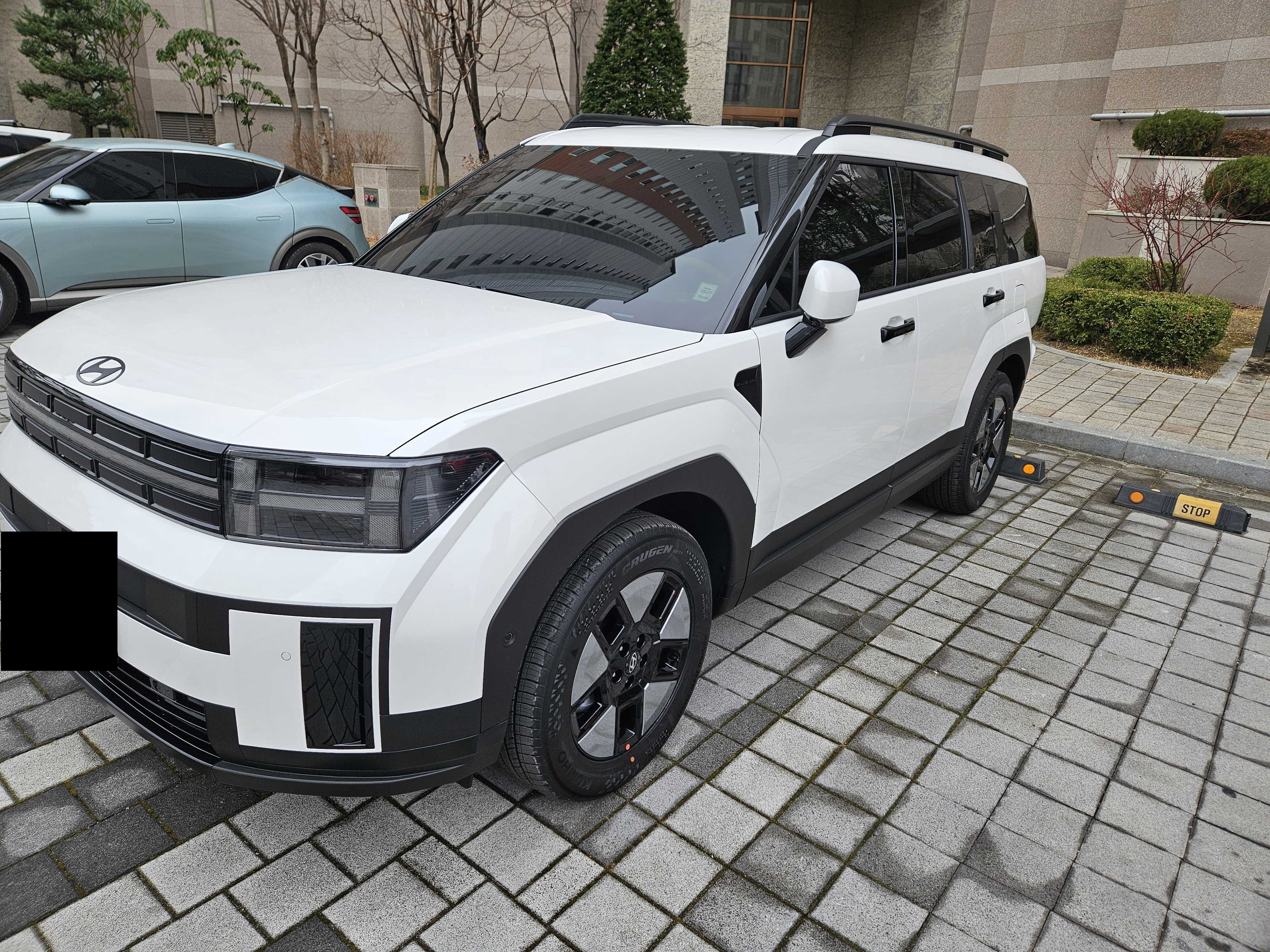 현대 싼타페 출고후기